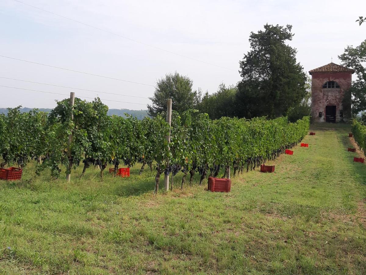 Marchesi Incisa Winery Lodge Rocchetta Tanaro 외부 사진