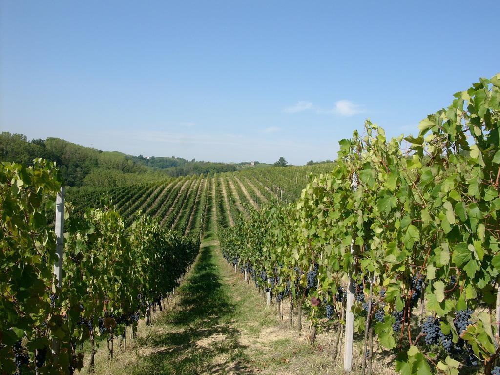 Marchesi Incisa Winery Lodge Rocchetta Tanaro 외부 사진